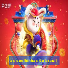 as coelhinhas do brasil